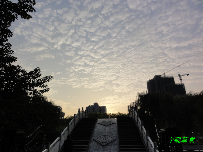 DSC09842.jpg