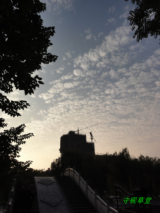 DSC09783.jpg