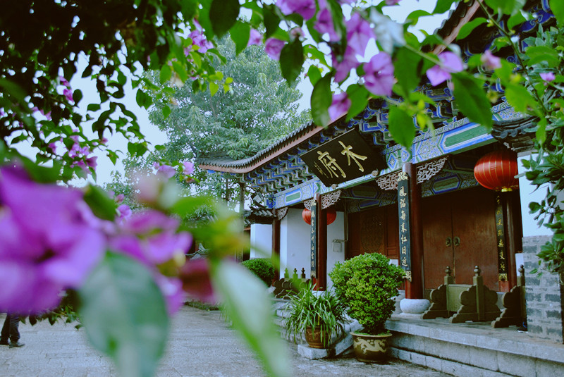 DSC_0315_副本.jpg