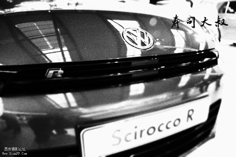 进口大众 尚酷R