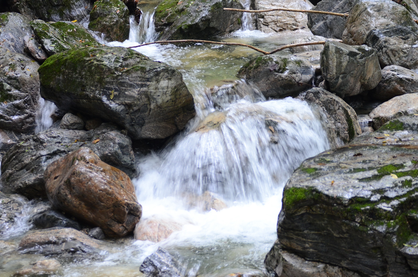 DSC_0043_调整大小.JPG