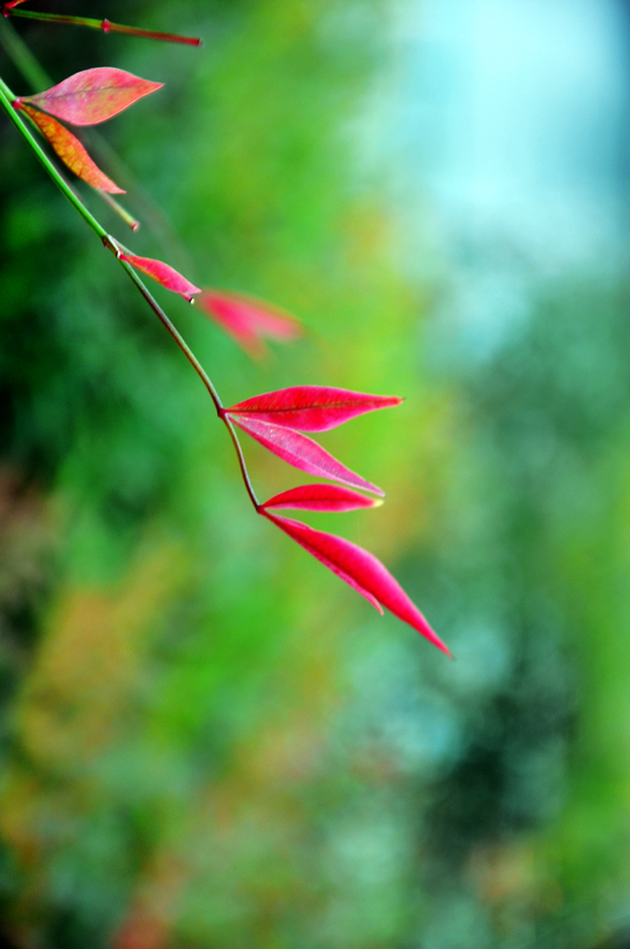 照片 053.jpg