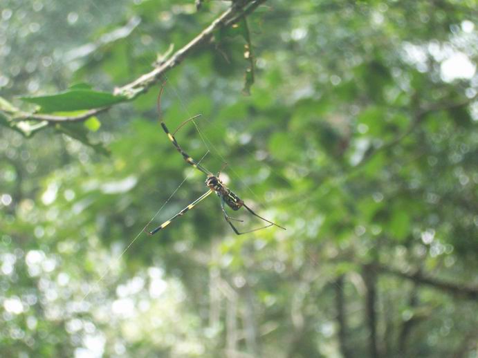 调整大小 100_7468.jpg