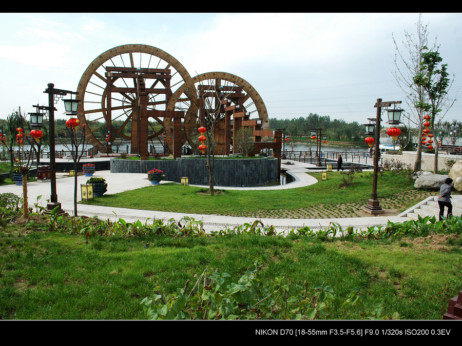 DSC_2606.jpg