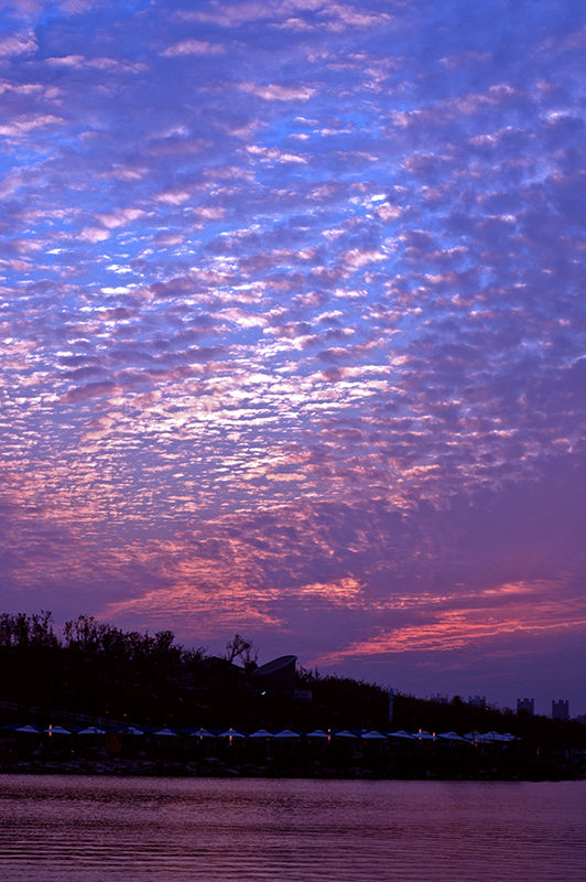 DSC08228-1.jpg