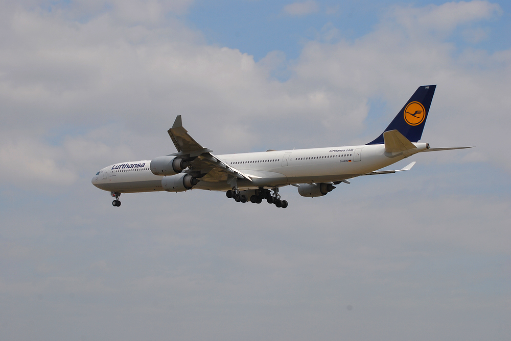 DSC_1504.jpg