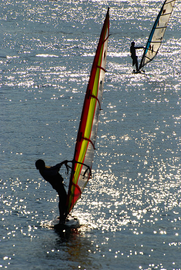 DSC_3655.jpg