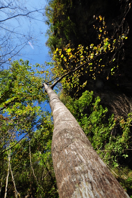 DSC_0084.jpg