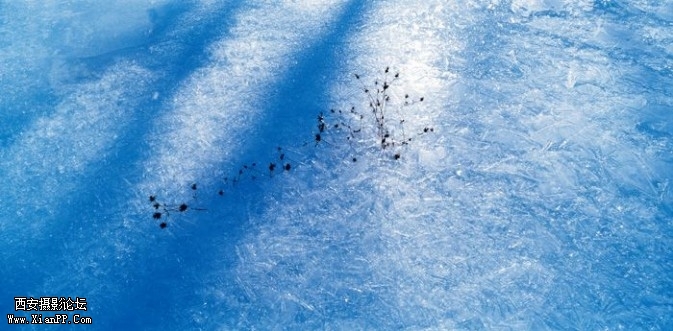 ice1-673x331.jpg