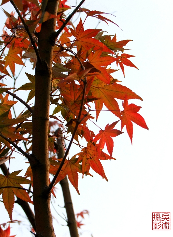 DSCF0639a.jpg