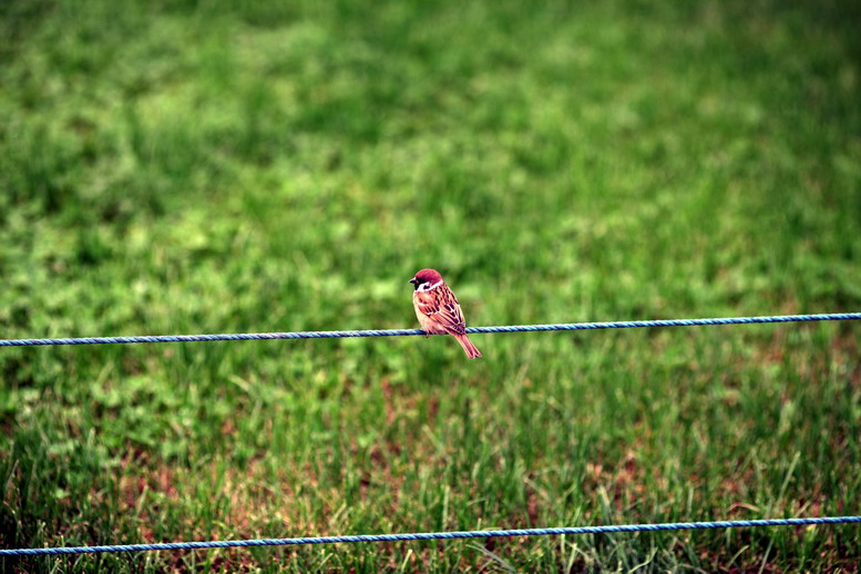 1106 LTY5470_调整大小.JPG