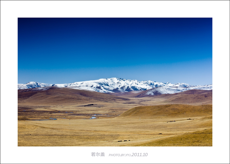 IMG_3563-1-1.jpg