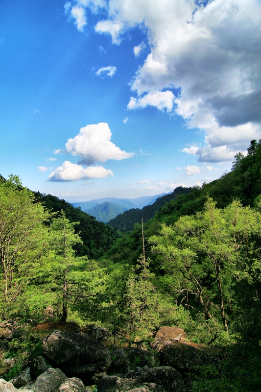 018 安静的太白.JPG