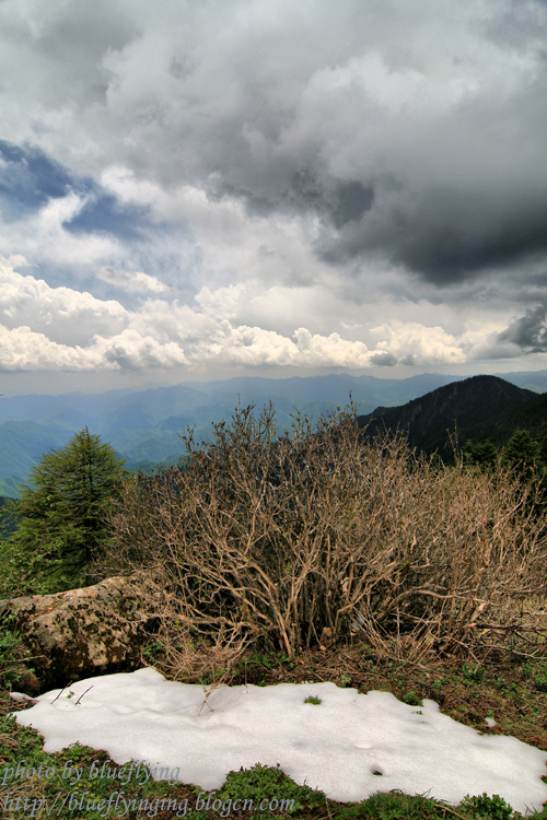 061 雪线随处可见.JPG