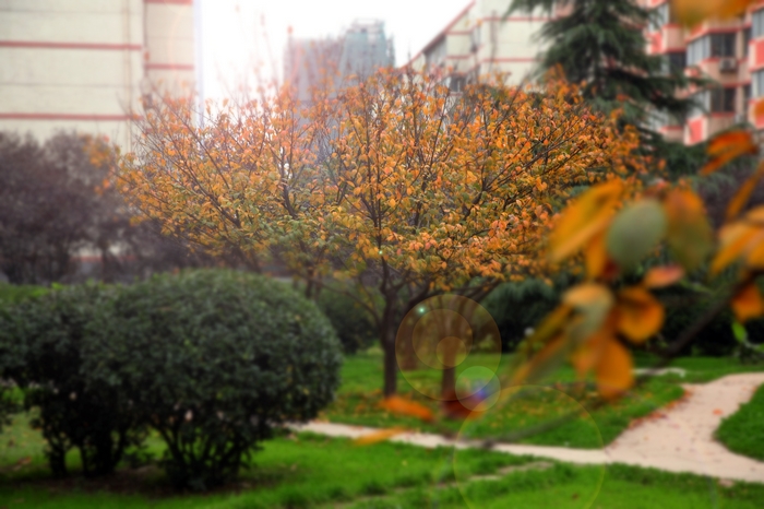 nEO_IMG_IMG_4230 拷贝.jpg