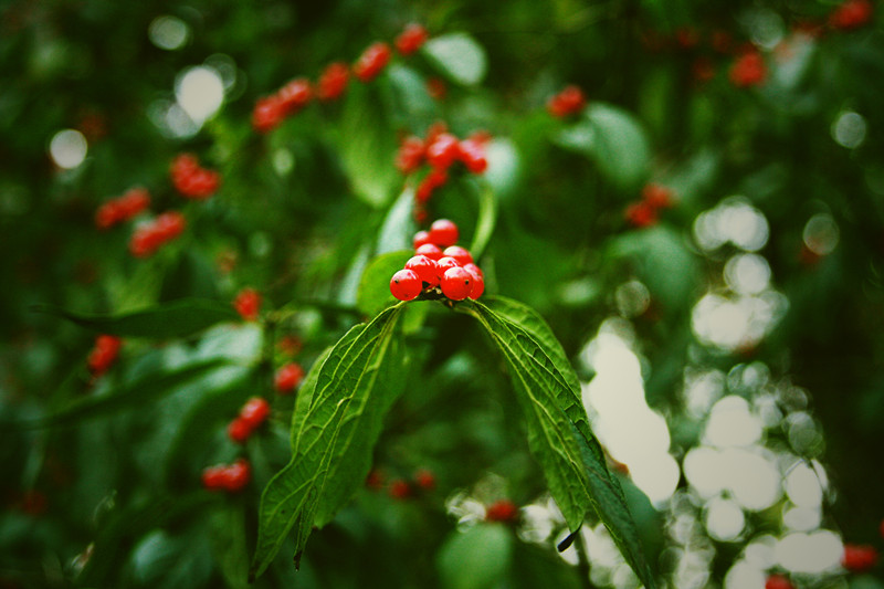 照片 093_副本_副本.jpg