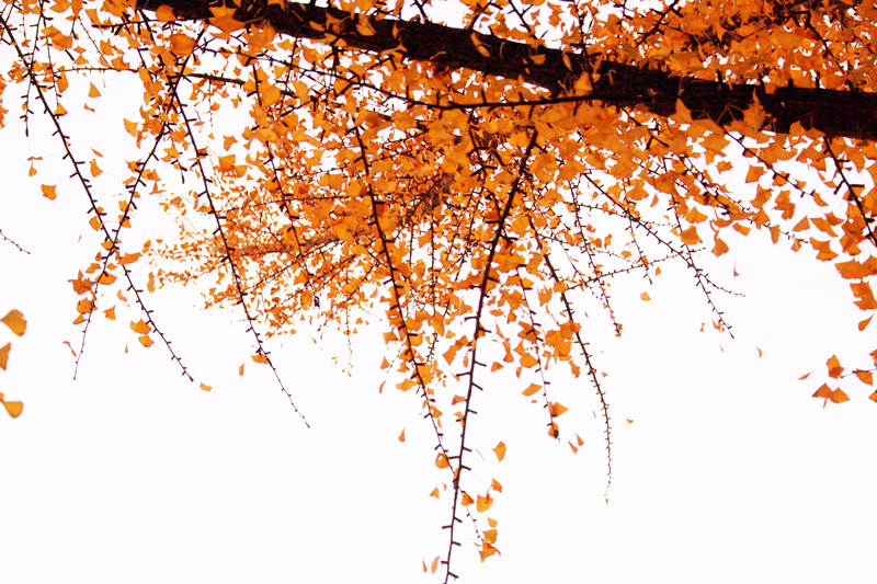 照片 212_副本_副本.jpg