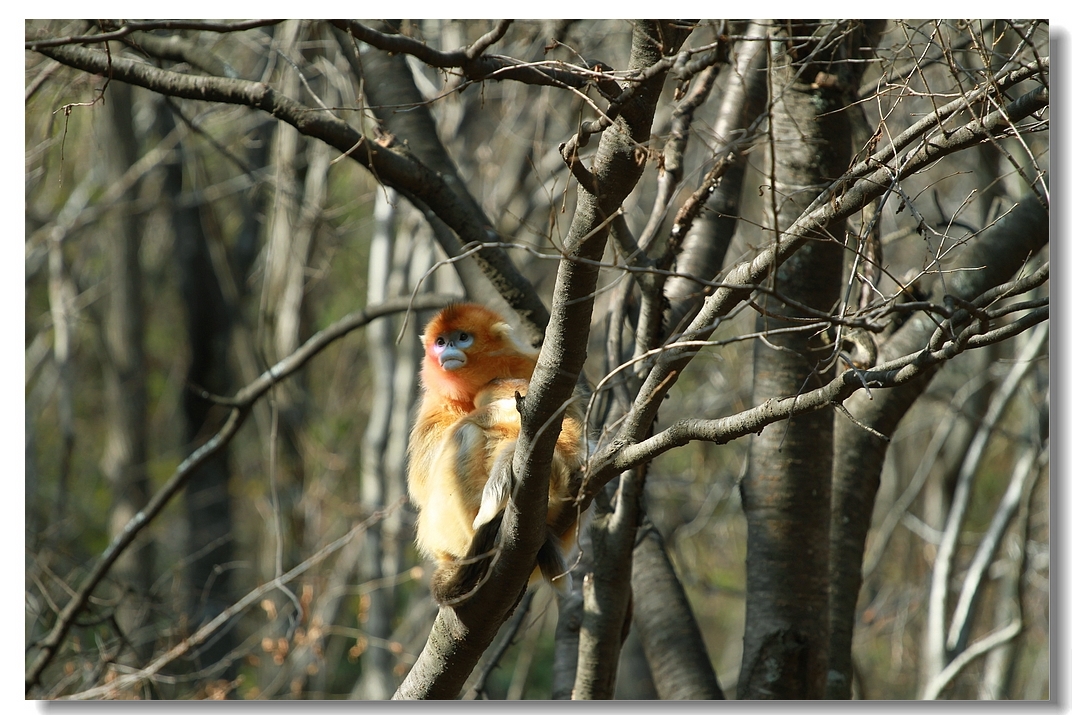 IMG_7694.JPG