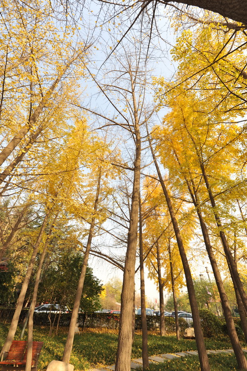 DSC_3427_调整大小.JPG
