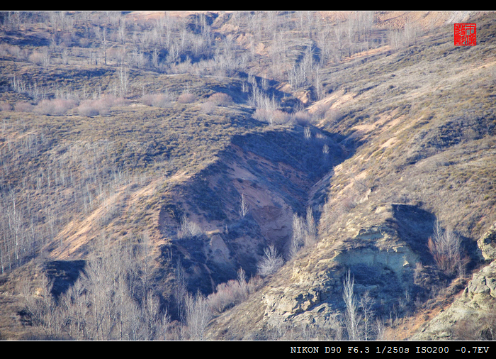 DSC_0389_0541.jpg