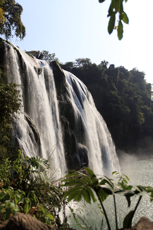 黄果树（三）.jpg
