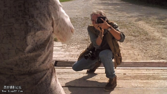 dy3-673x380.jpg
