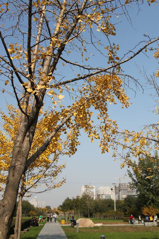 调整大小 IMG_6026.JPG