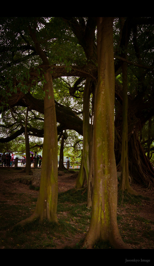 20111108-DSC_0655_副本.jpg