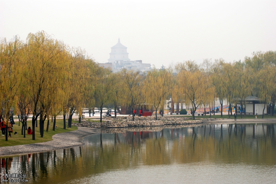 DSC_0036.jpg
