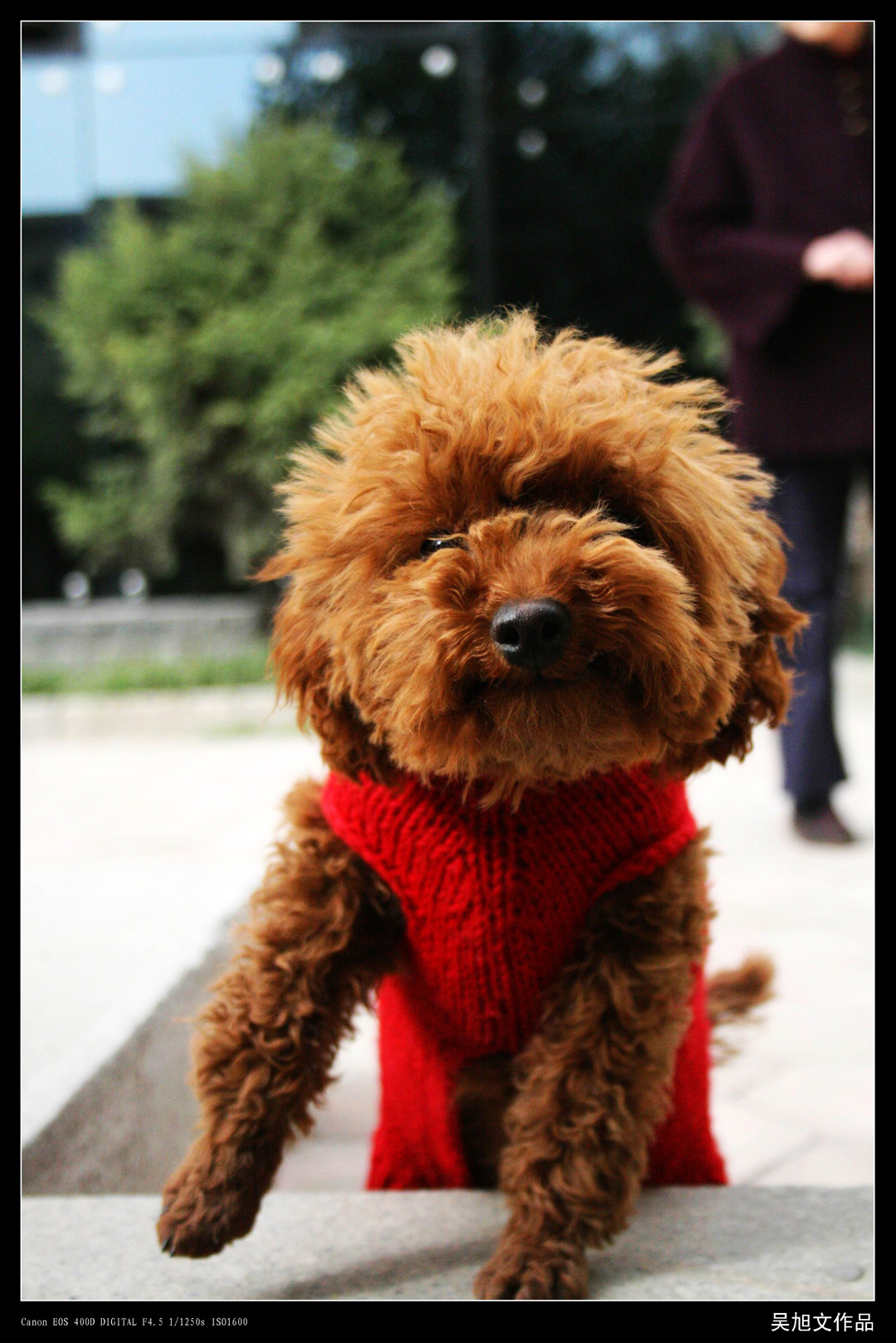 2011.11.25小品 (29).jpg