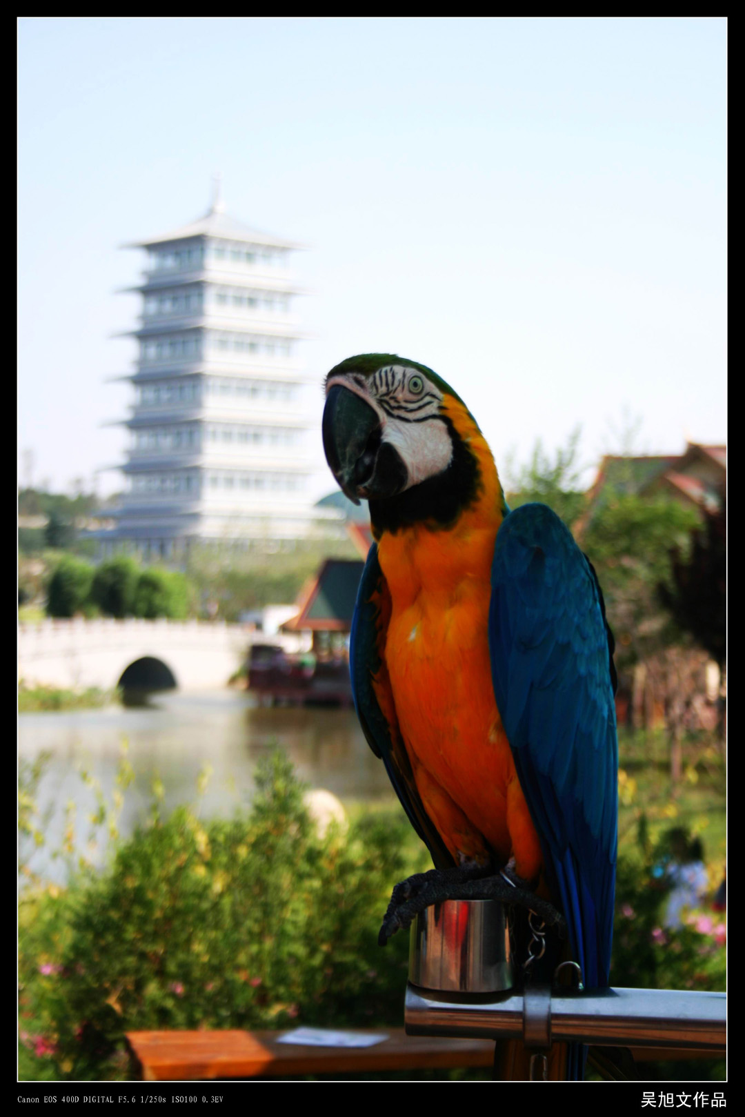 2011.11.25小品 (14).jpg