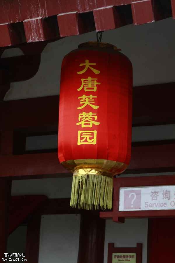 大唐芙蓉园 8151.jpg