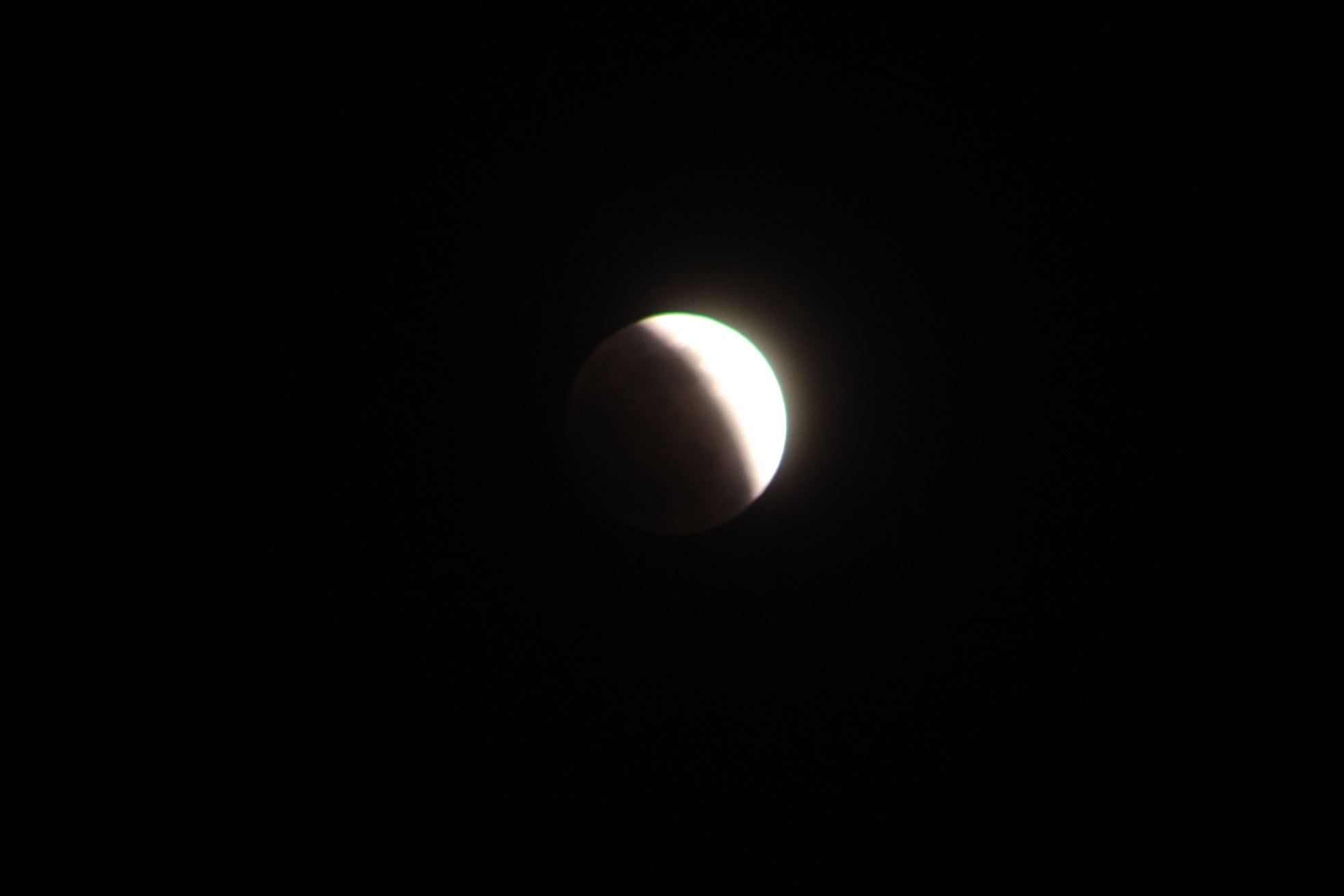 DSC_0361.jpg