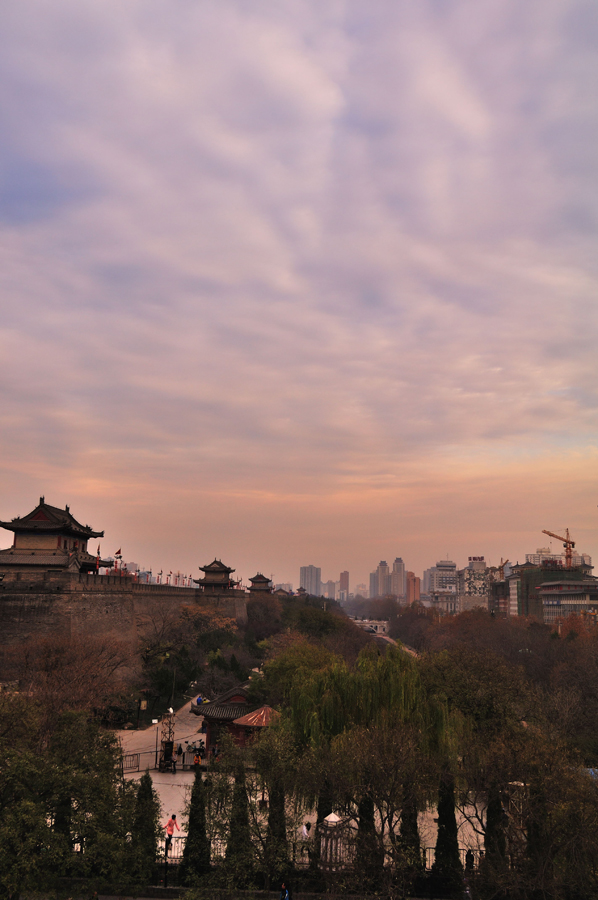 DSC_0031--02.jpg