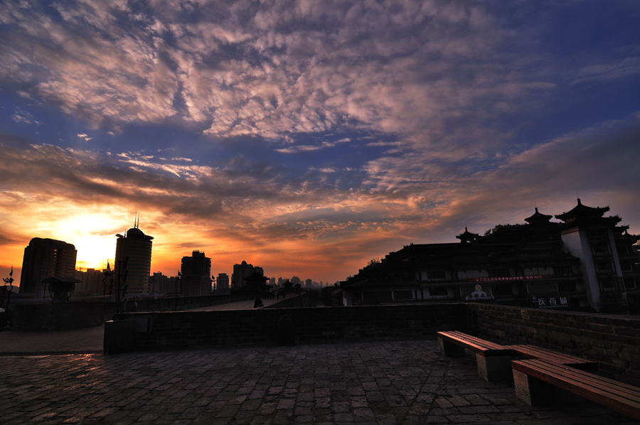 DSC_0056--06.jpg