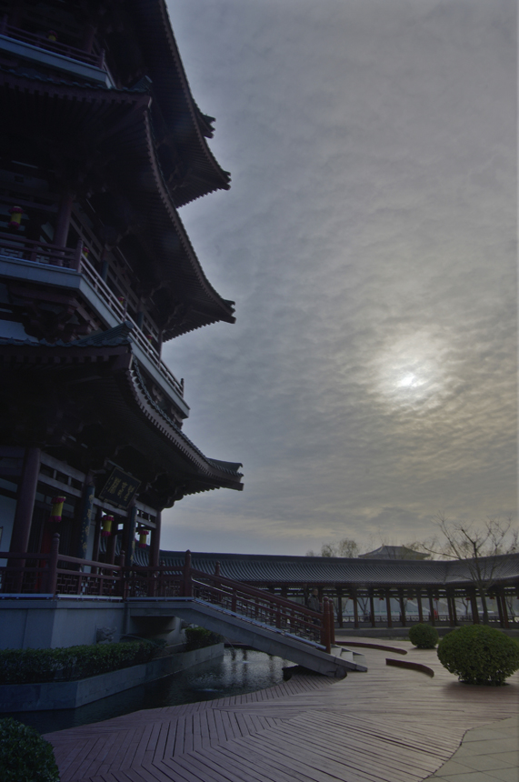 _IGP0687.jpg