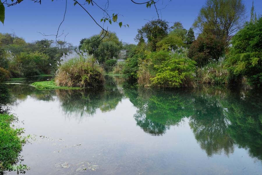 DSC_1464.jpg