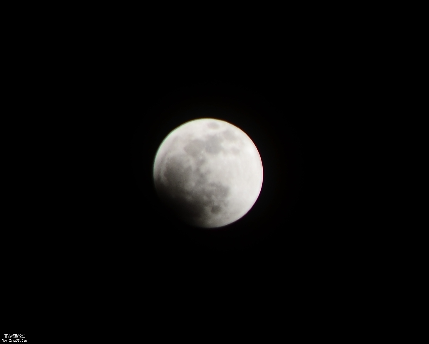DSC_0470.JPG