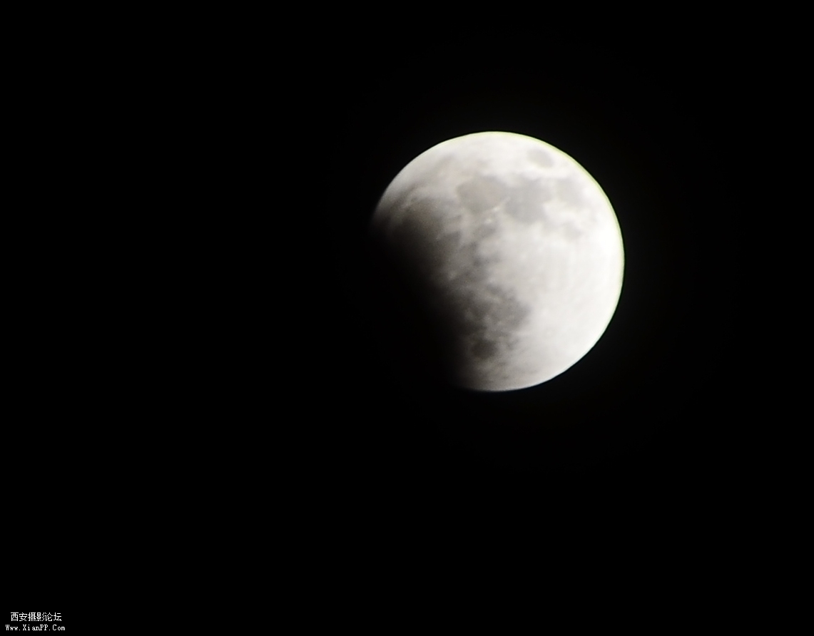 DSC_0480.JPG