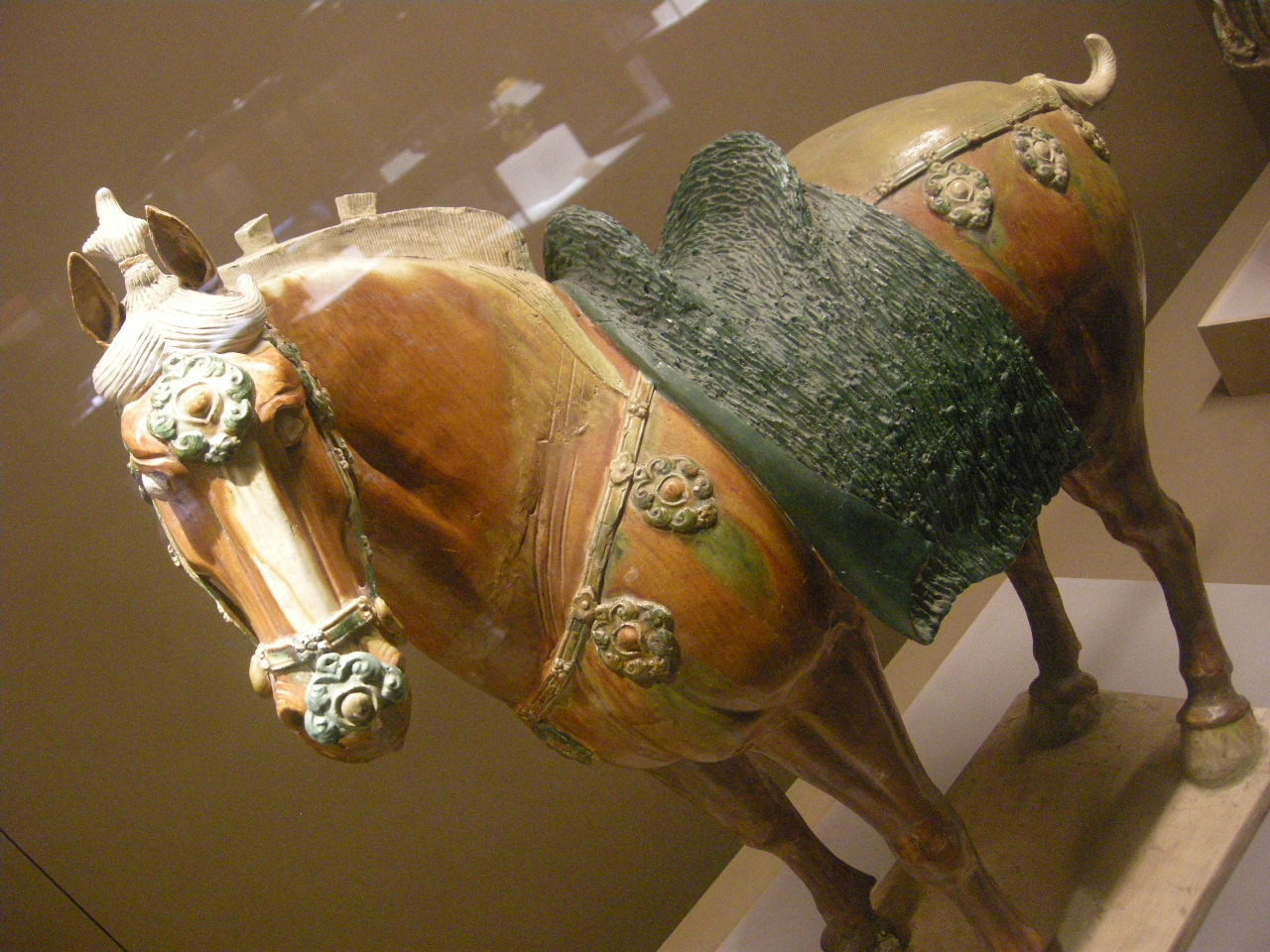 DSCN7161.JPG