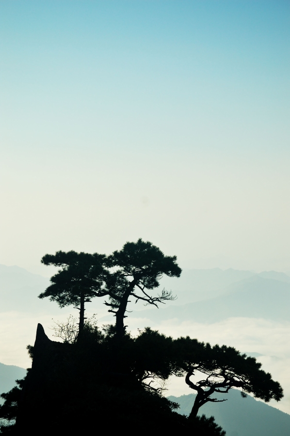 听涛.JPG