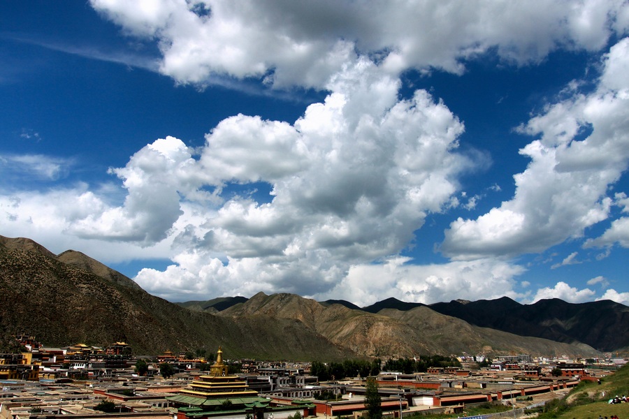 12765884.jpg