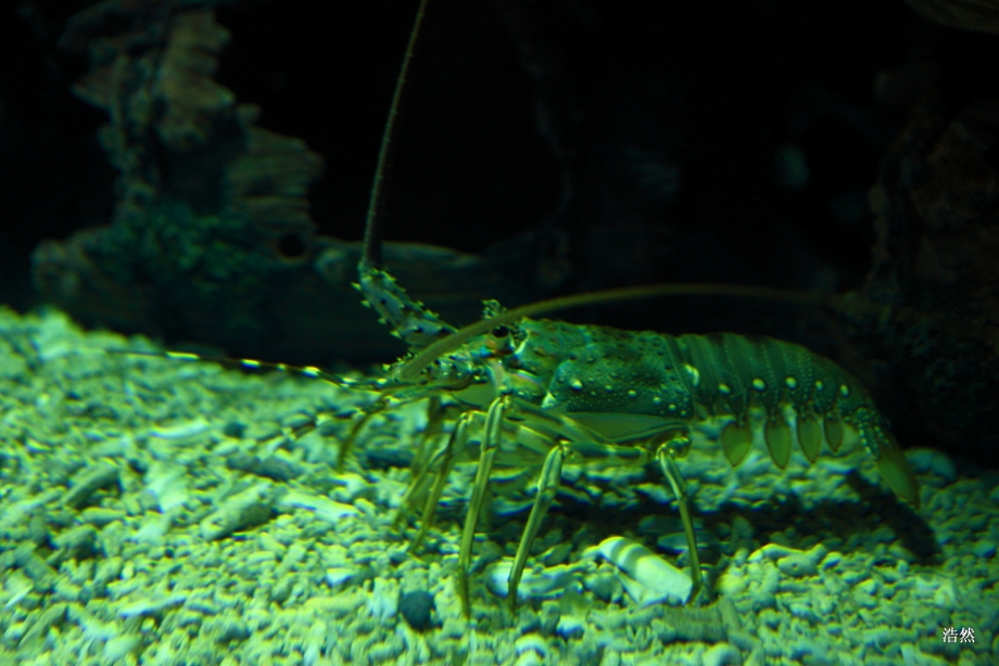 IMG_6075.JPG