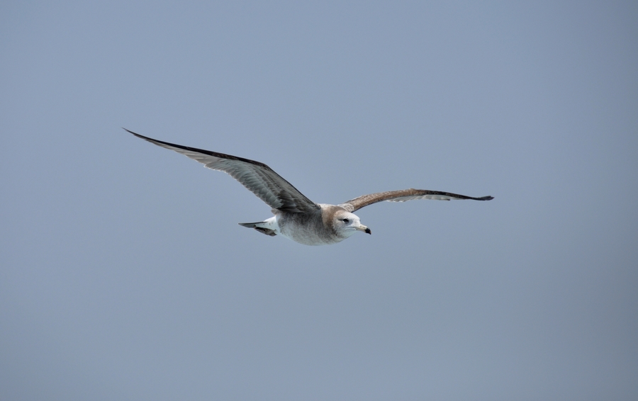 DSC_1301.jpg