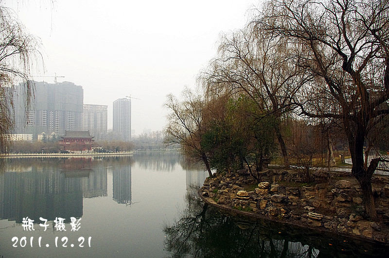 IMGP4127.jpg