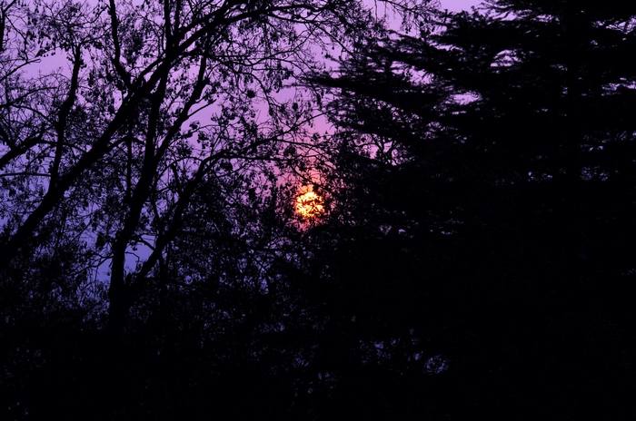 DSC_0663.jpg
