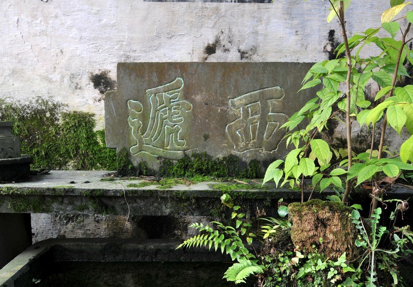 04.jpg