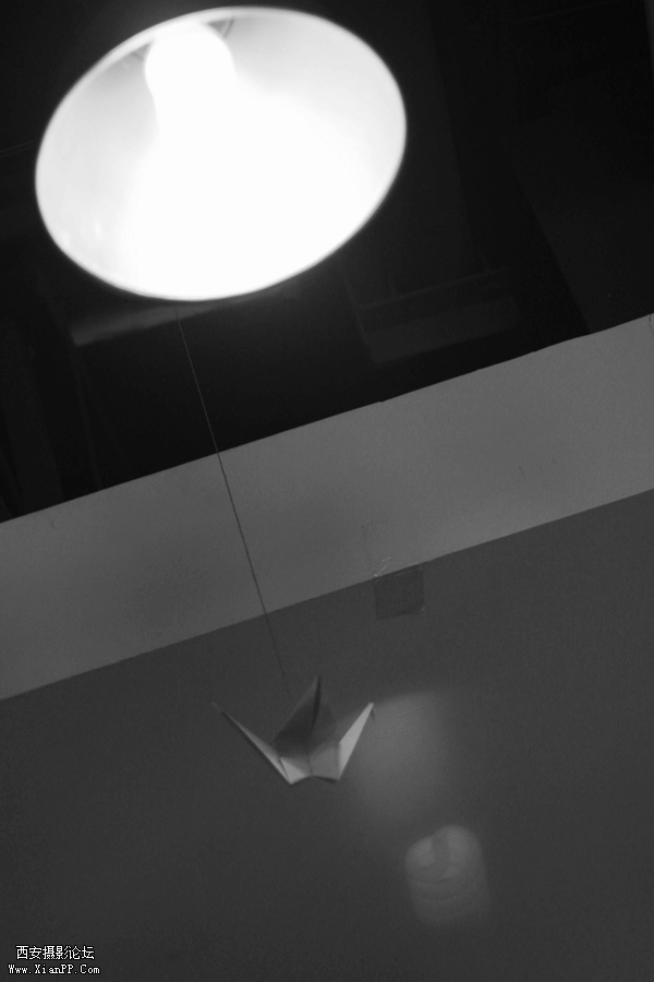 _MG_0107.jpg