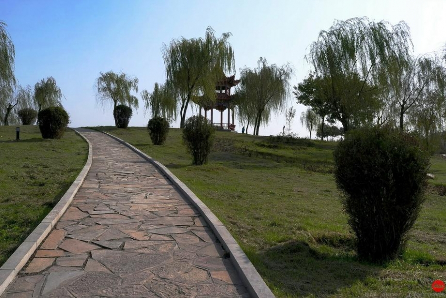 L1000881.jpg