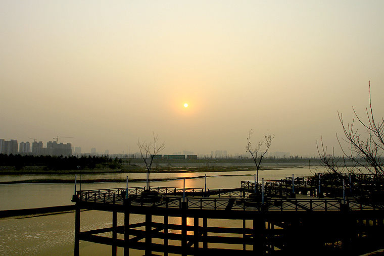 浐灞落日 203.JPG